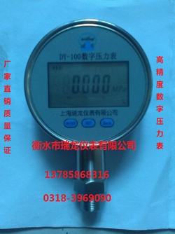 “武漢數顯壓力表0-10v“/