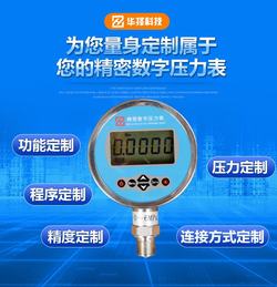 “寧波ZD100數顯壓力表“/